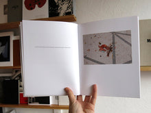 Load image into Gallery viewer, Seth Lower - The Sun Shone Glaringly