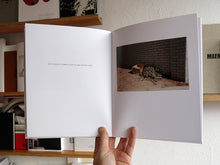 Load image into Gallery viewer, Seth Lower - The Sun Shone Glaringly