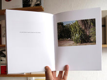 Load image into Gallery viewer, Seth Lower - The Sun Shone Glaringly