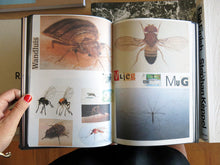 Load image into Gallery viewer, Lous Martens - Animal Books For/ Dierenboeken Voor Jaap Zeno Anna Julian Luca
