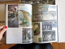 Load image into Gallery viewer, Lous Martens - Animal Books For/ Dierenboeken Voor Jaap Zeno Anna Julian Luca