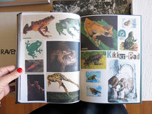 Load image into Gallery viewer, Lous Martens - Animal Books For/ Dierenboeken Voor Jaap Zeno Anna Julian Luca