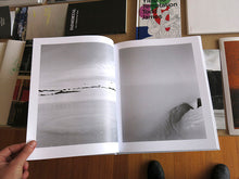 Load image into Gallery viewer, Gerry Johansson - Antarktis