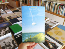 Load image into Gallery viewer, F.R. David Spring 2018: Flurry