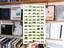 Load image into Gallery viewer, Recollecting Landscapes: Rephotography, Memory And Transformation 1904-1980-2004-2014