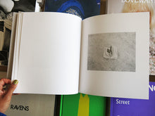 Load image into Gallery viewer, Susan Lipper – Domesticated Land