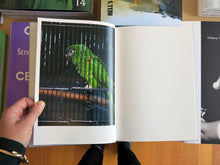 Load image into Gallery viewer, Hiroyuki Takenouchi – The Fourth Wall