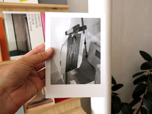 Mark Manders - Acolyte Frena