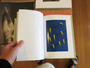 Yoshinori Mizutani - Tokyo Parrots