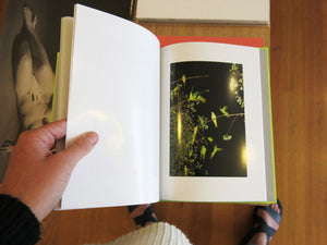 Yoshinori Mizutani - Tokyo Parrots