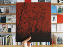 Load image into Gallery viewer, Vanessa Winship – she dances on Jackson