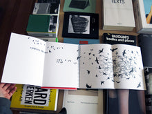 Load image into Gallery viewer, Cédric Eisenring - Eisenring