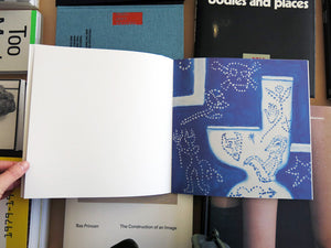 Quintessa Matranga - Toilet Paintings