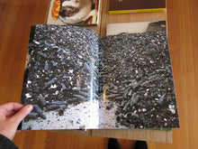 Load image into Gallery viewer, Maya Rochat - Crystal Clear