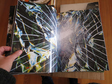 Load image into Gallery viewer, Maya Rochat - Crystal Clear