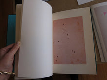 Load image into Gallery viewer, Charles Johnstone &amp; Aaron McElroy - Briney Breezes
