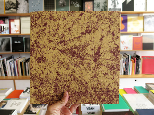 Vanessa Winship – And Time Folds