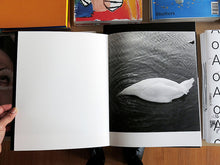 Load image into Gallery viewer, Phoebe Kiely – They Were My Landscape
