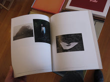 Load image into Gallery viewer, Der Greif - A Process