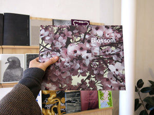 Thomas Demand & Ben Lerner - Blossom