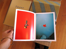 Load image into Gallery viewer, Yoshinori Mizutani - Colors