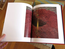 Load image into Gallery viewer, Viviane Sassen - Lexicon