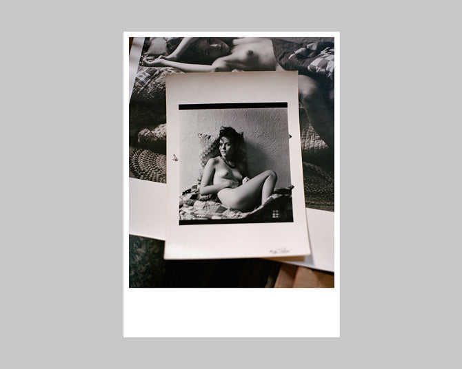 Poster: François Halard - Saul Leiter Nudes, 2015