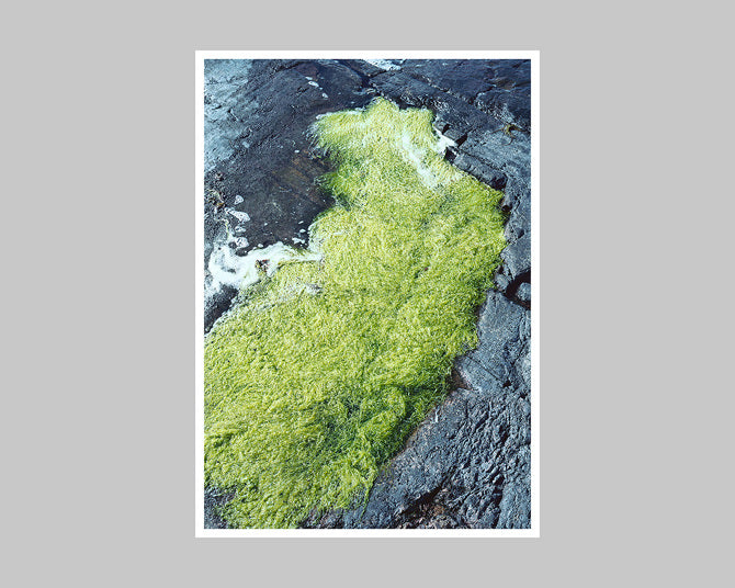 Poster: Takashi Homma - A song for windows, 2015 – Perimeter Books