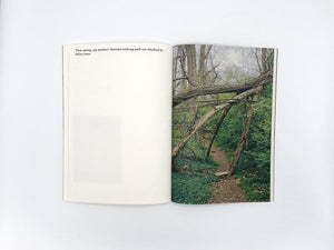 SPECIAL EDITION: Danielle Mericle – The Dark Wood