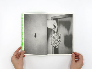 SPECIAL EDITION: Luke Le – What are you looking for?