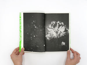 Luke Le – What are you looking for? [Second Edition]