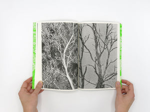 Luke Le – What are you looking for? [Second Edition]