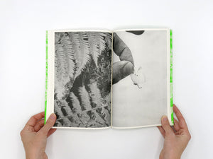 Luke Le – What are you looking for? [Second Edition]