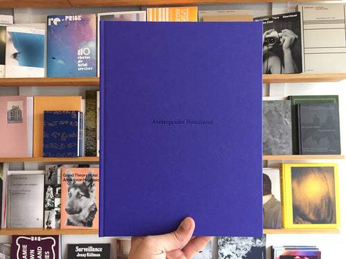 Isabelle Evertse - Anthropoides Paradiseus