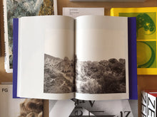 Load image into Gallery viewer, Isabelle Evertse - Anthropoides Paradiseus